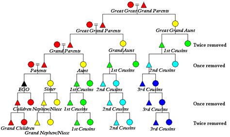 3rd degree cousin